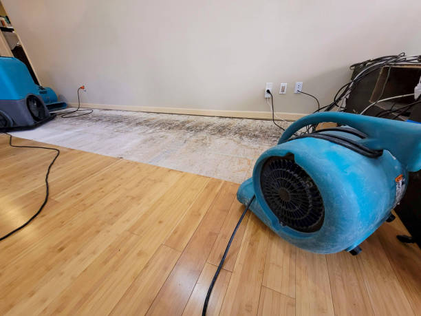 Professional Structural Drying technician working in Lawrence, KS
